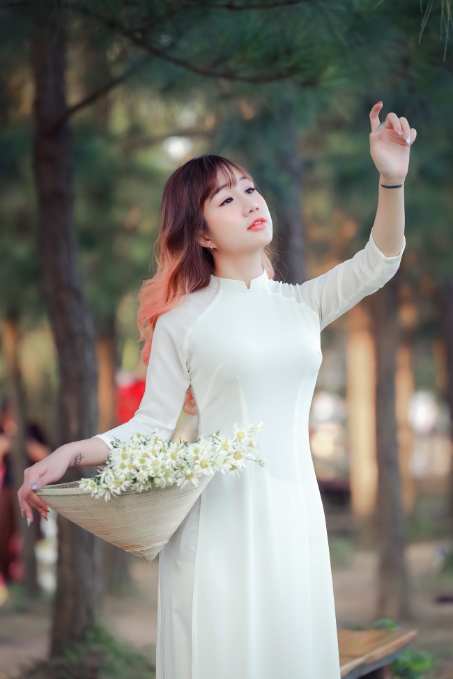 17间房主播跳舞 图鉴3